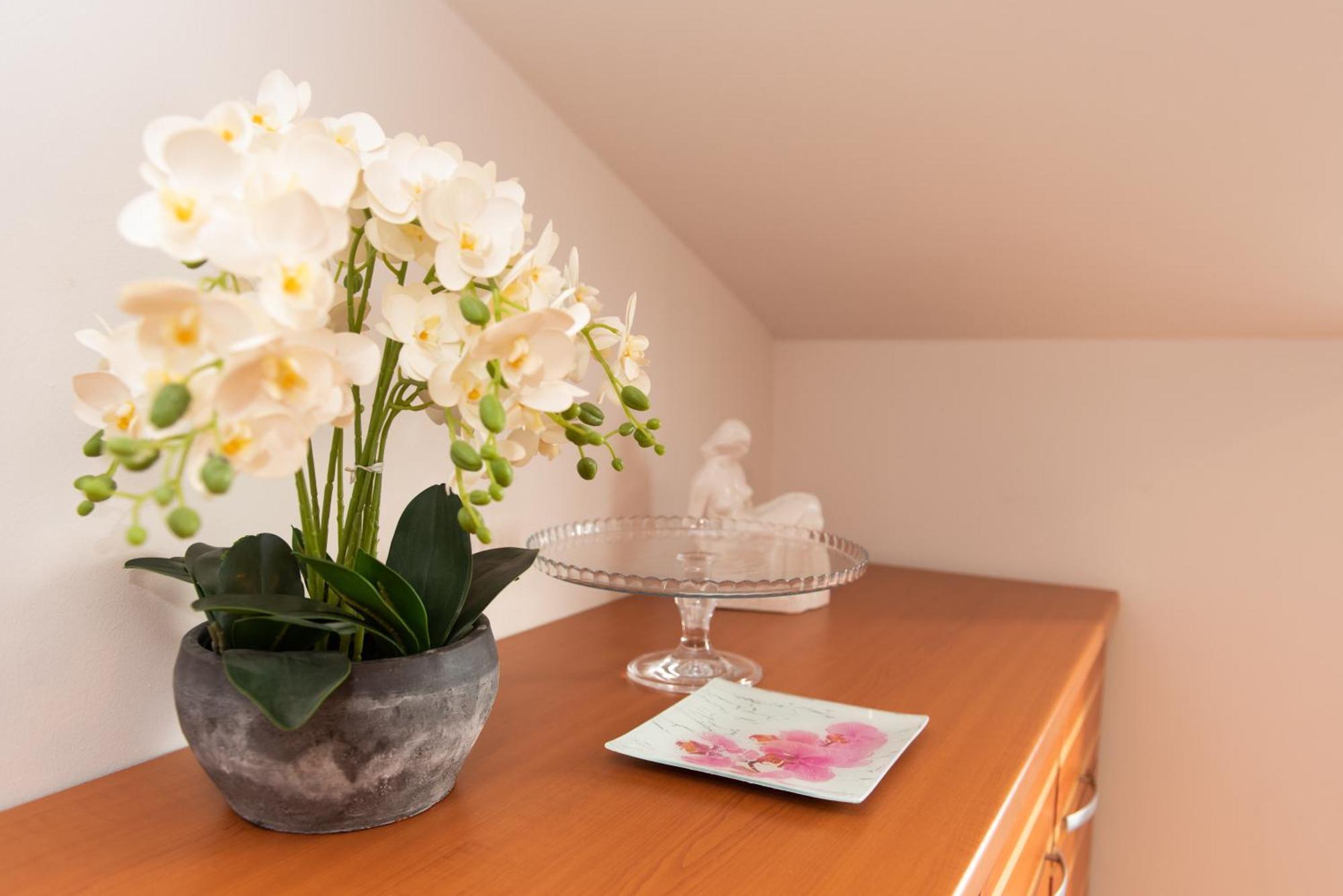 Apartments Andrijana Split Dış mekan fotoğraf